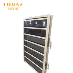 Morden design exterior glass louver door on China WDMA