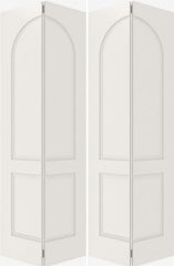 WDMA 20x80 Door (1ft8in by 6ft8in) Interior Barn Smooth 2040 MDF 2 Panel Round Panel Double Door 2